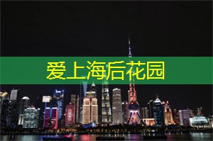 爱上海：上海植物园盆景园
