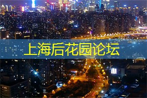 上海419论坛：世界最先进的战斗机在朝鲜