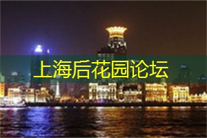 上海花千坊：浪漫上海：适合情侣的娱乐路线
